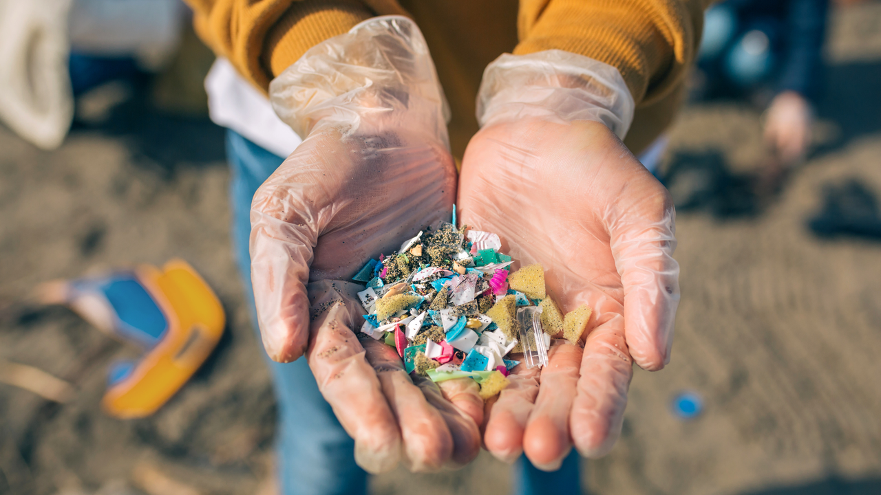 a hand holding microplastics gathered at the beach