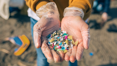 a hand holding microplastics gathered at the beach