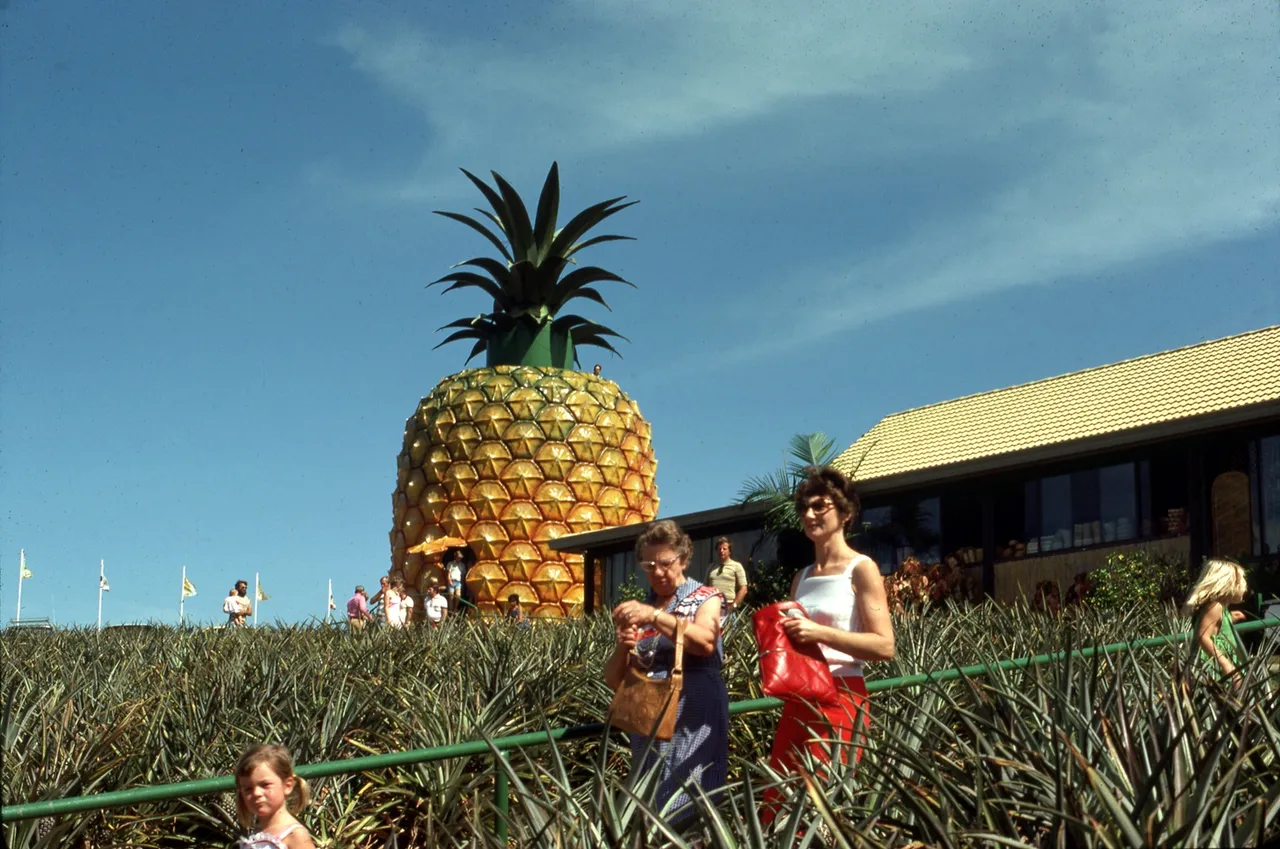 Tourists%20at%20the%20Sunshine%20Plantation%2C%20Woombye%2C%20May%201979.jpg