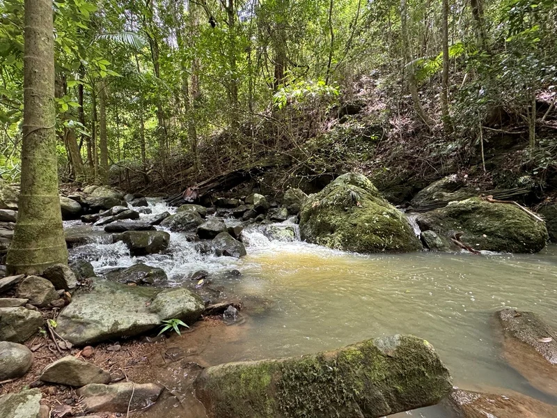 A creek rushes through the purchased site at Wootha.