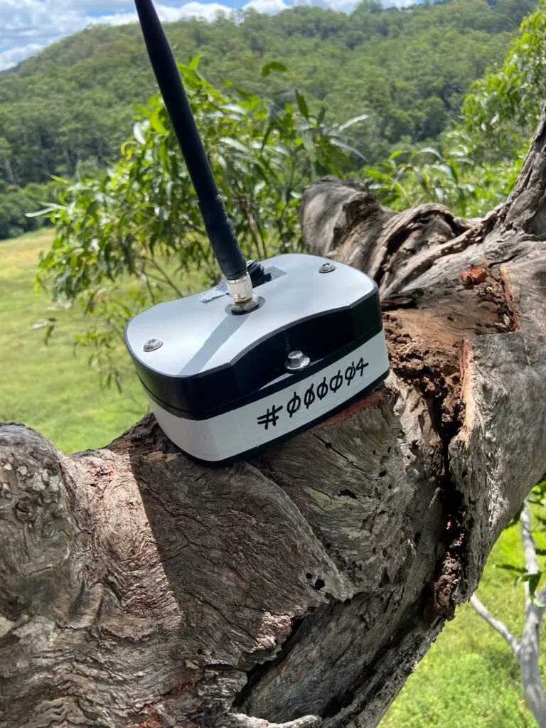 PIR device attached to the natural hollow.