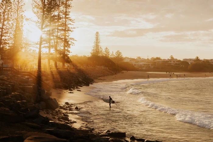 "Sunset on the left side of the screen, with large trees silhouetted against the sky. A rock seawall extends along the beach, where a surfer stands, with his back to the waves crashing onto the shore."