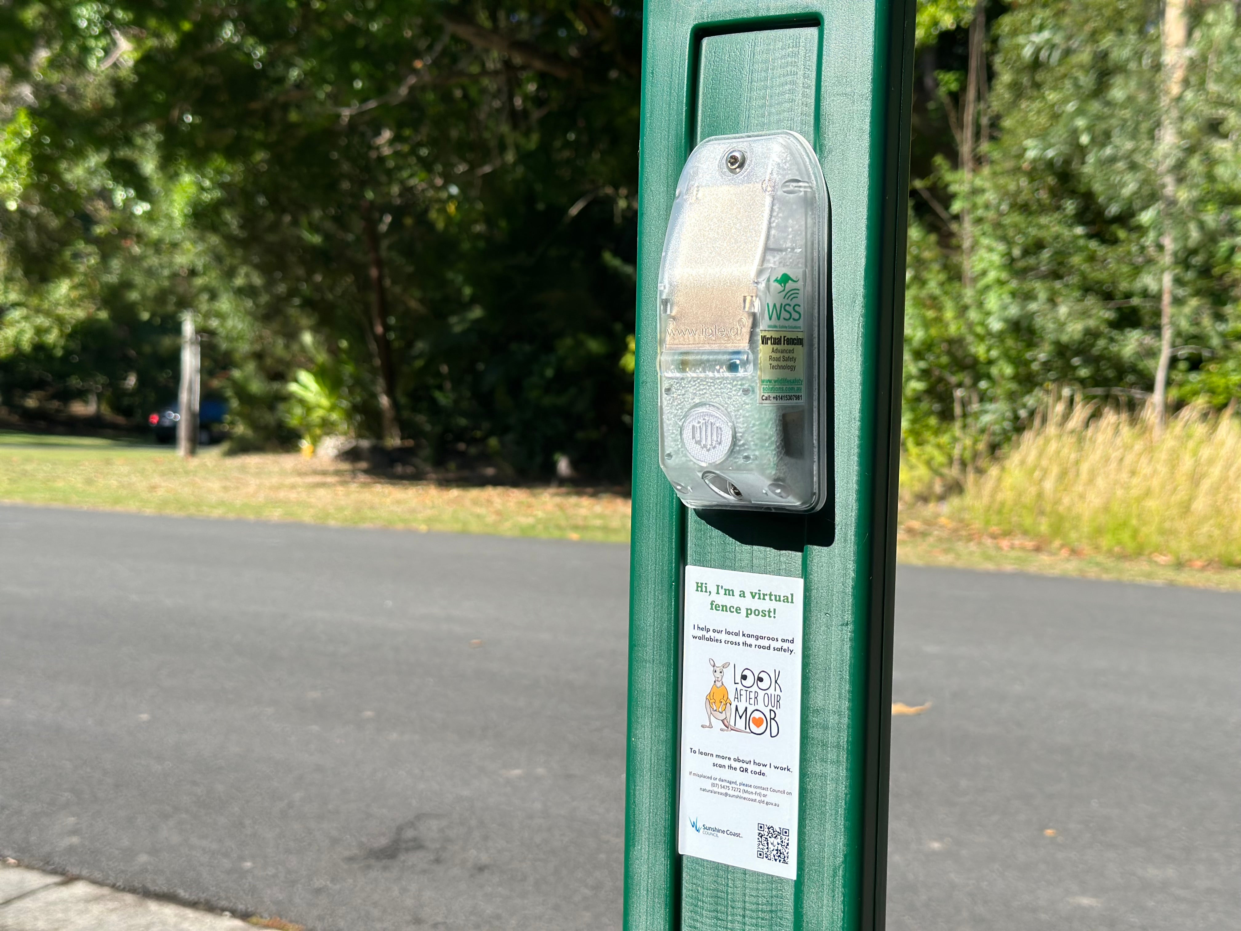High-tech ‘virtual fauna fence’ saving wildlife - Fauna fencing Mt Ninderry.