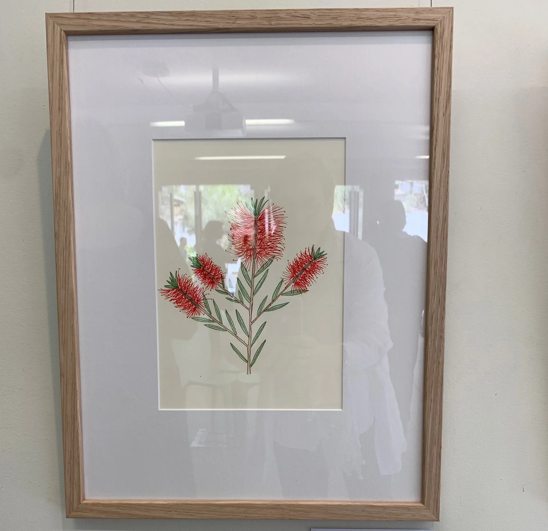 Under 8s Flora winner “Narrow-Leaved bottlebrush” by James B
