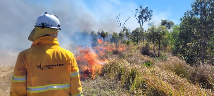 A Sunshine Coast Council fire fighter stands facing flames in bush.