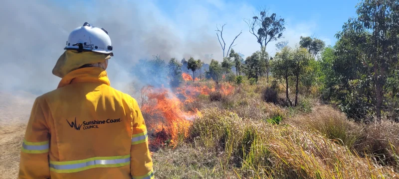 A Sunshine Coast Council fire fighter stands facing flames in bush.