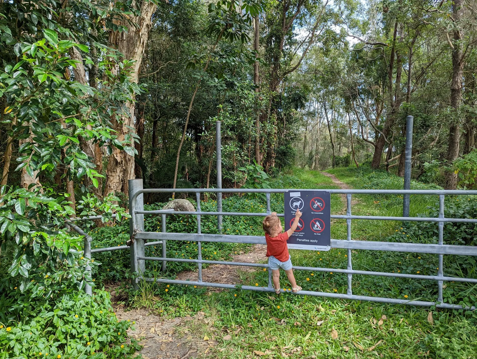 Stumers Creek to Magenta Drive Park, Coolum