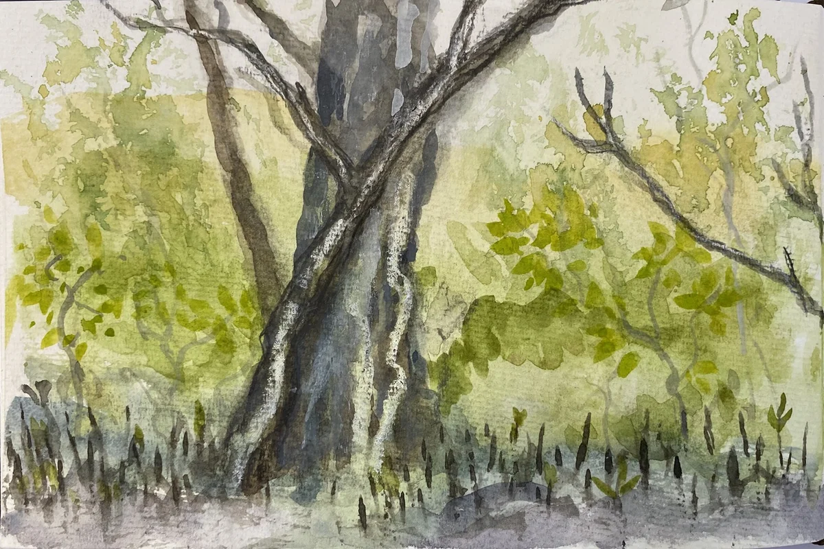 What's on at the Wetlands Sanctuary