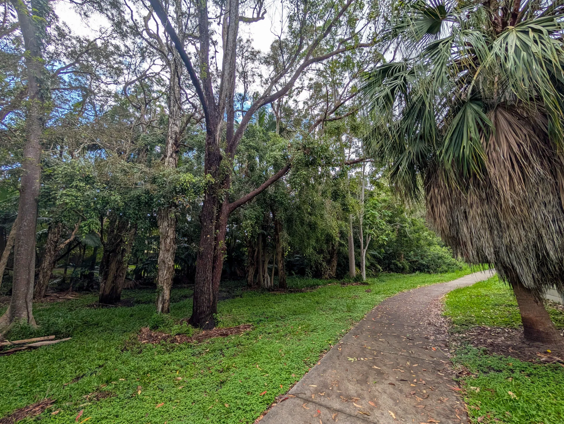 PSX_20250110_104758.jpg