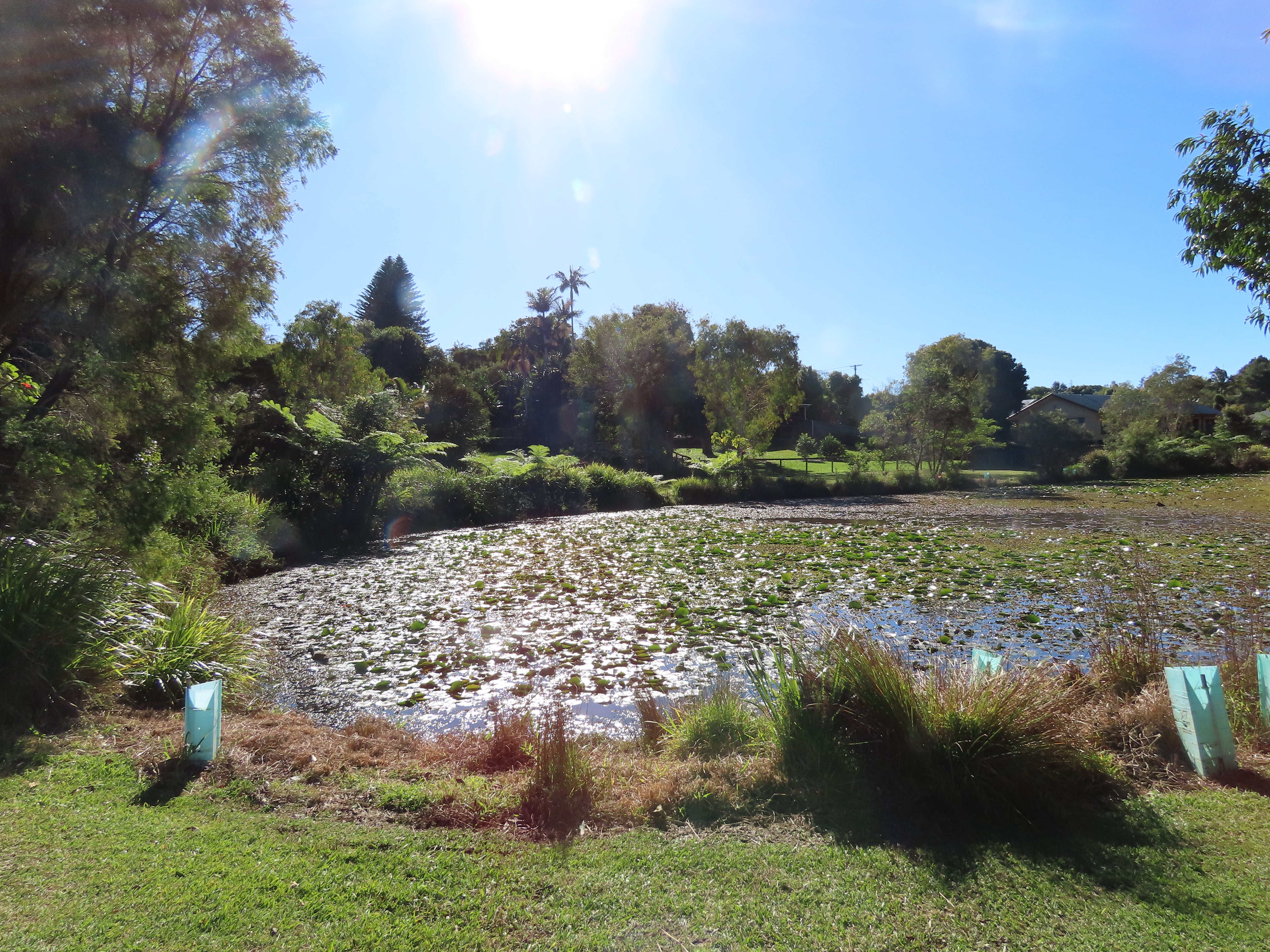 Mapleton Lilyponds Park