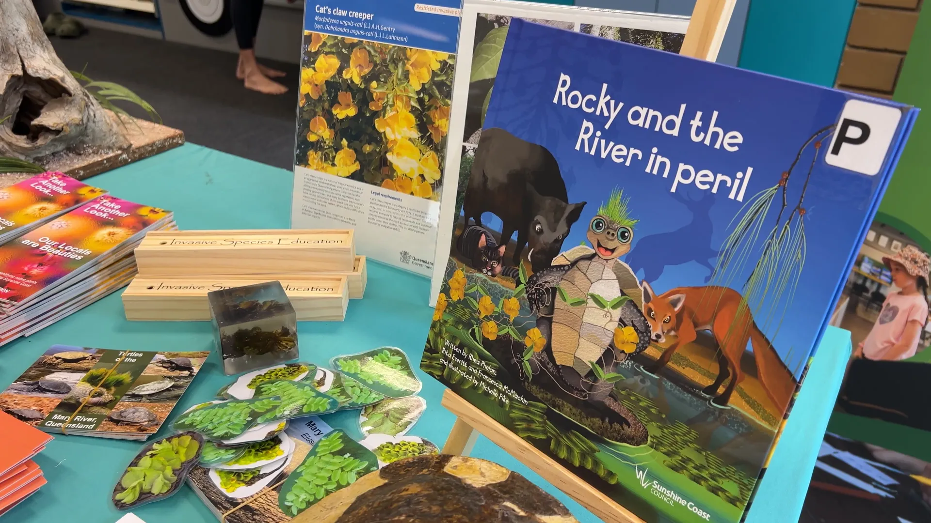 An invasive species education display, along with a real Mary River turtle shell and a copy of Rocky and the River in Peril children's book.