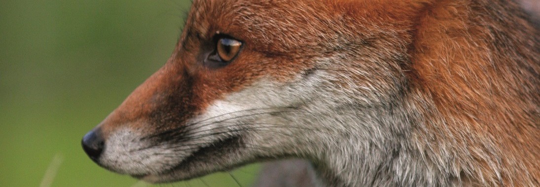 48FE43C1-6D56-47CB-80D1-E1462AE7EC85