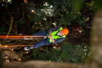 Jinibara - the first custodians