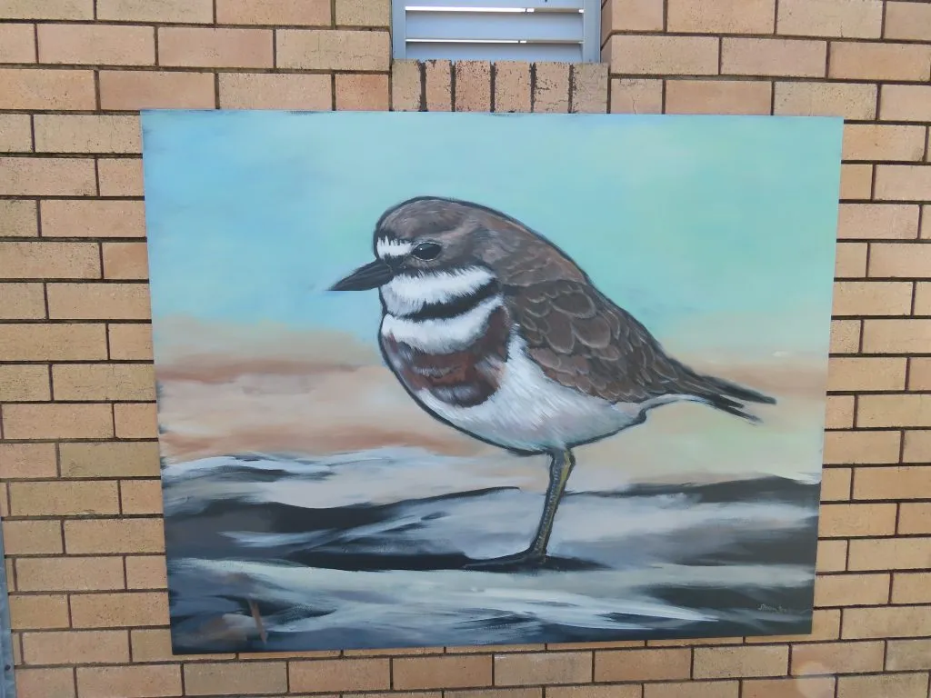 Bells Creek Mural Double-banded Plover