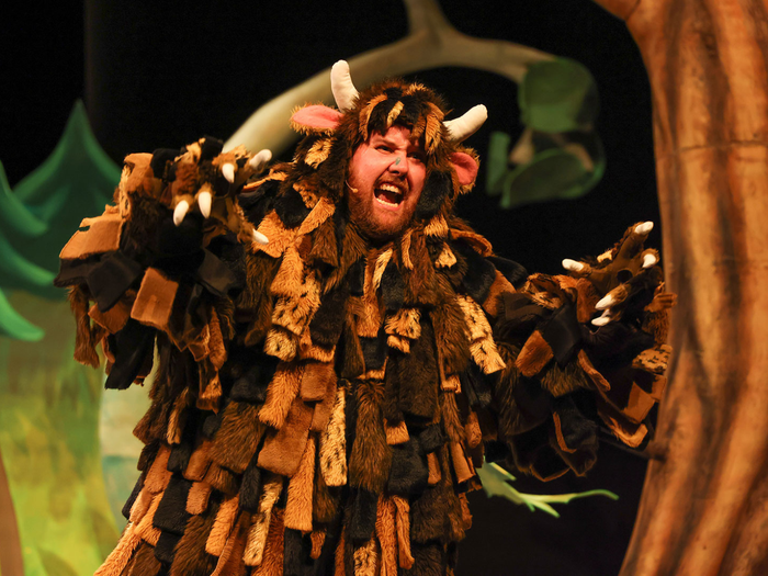 The Gruffalo live on stage get your tickets 