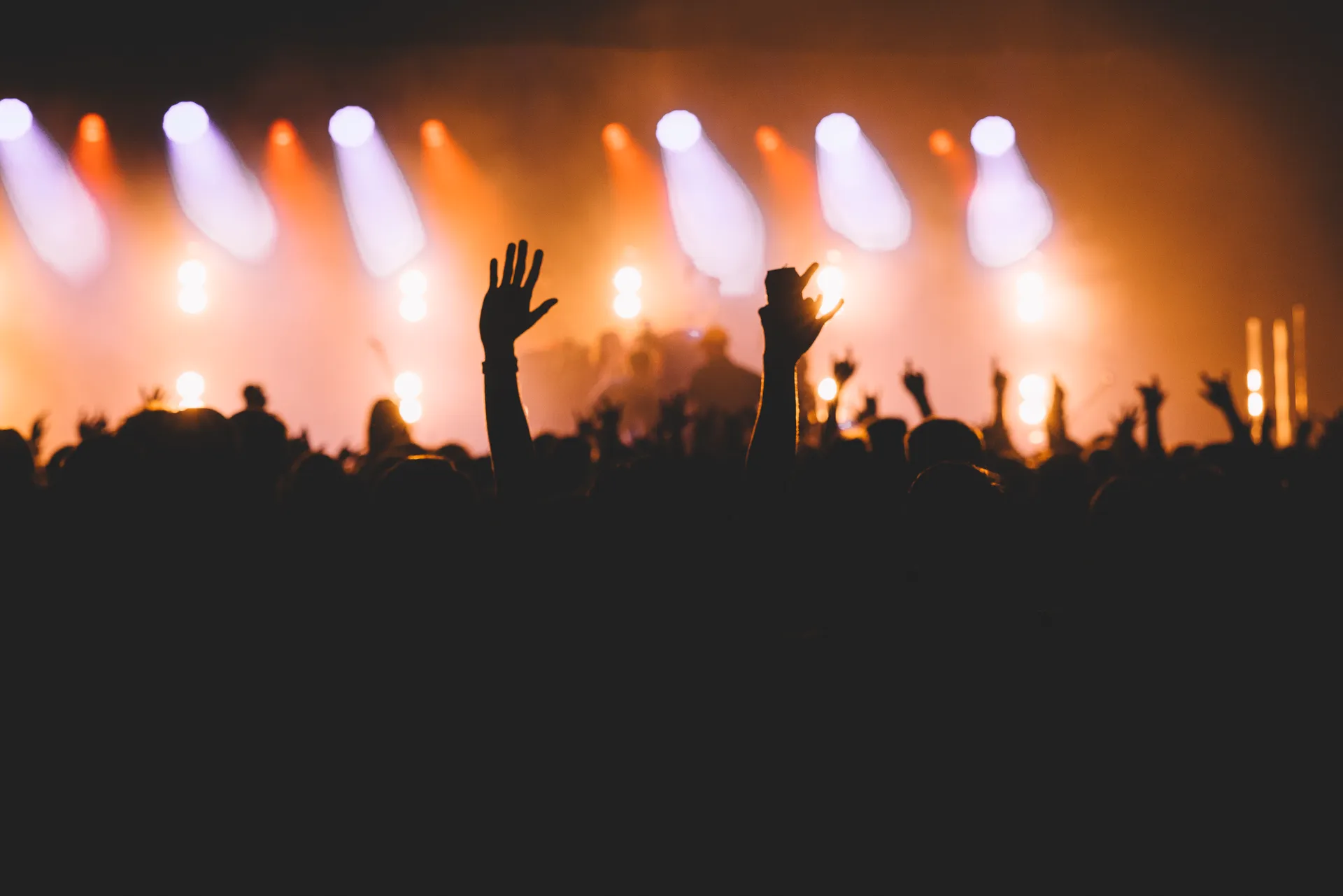 Live music crowd at Venue 114