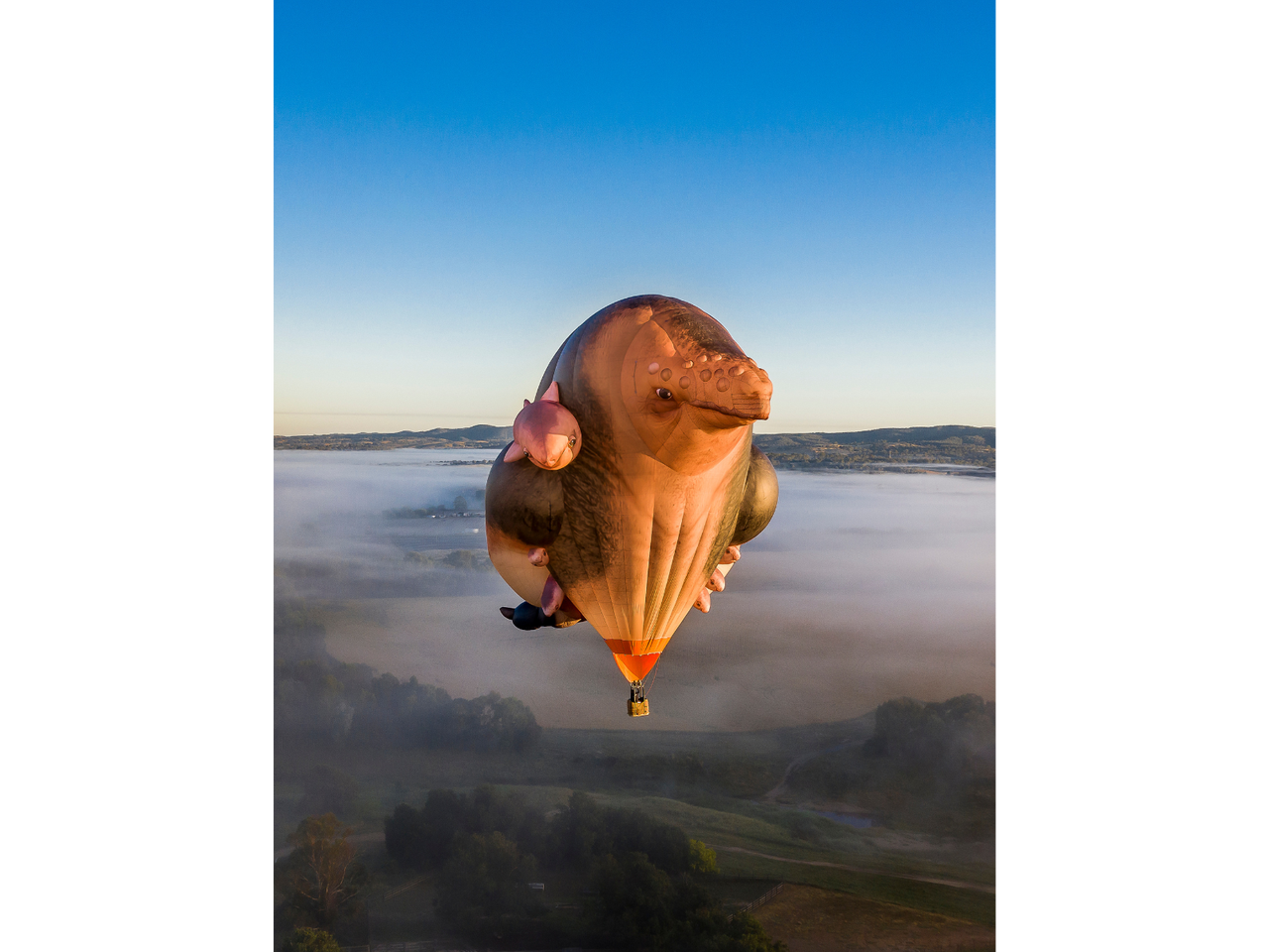 Patricia Piccinini, Skywhalepapa