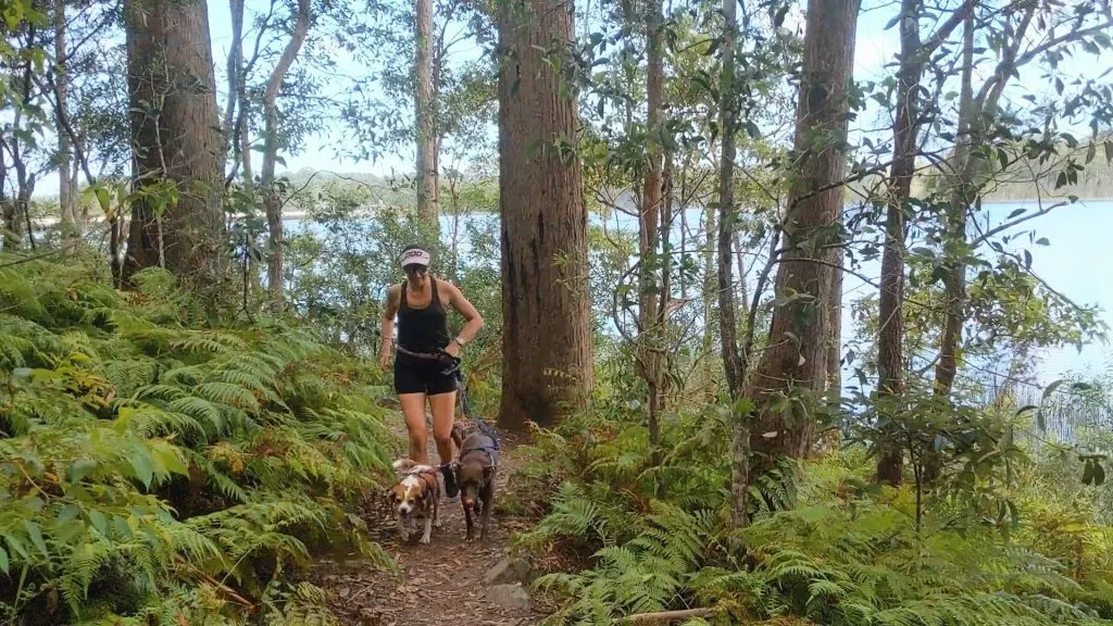 me-and-dogs-1024x576.jpg