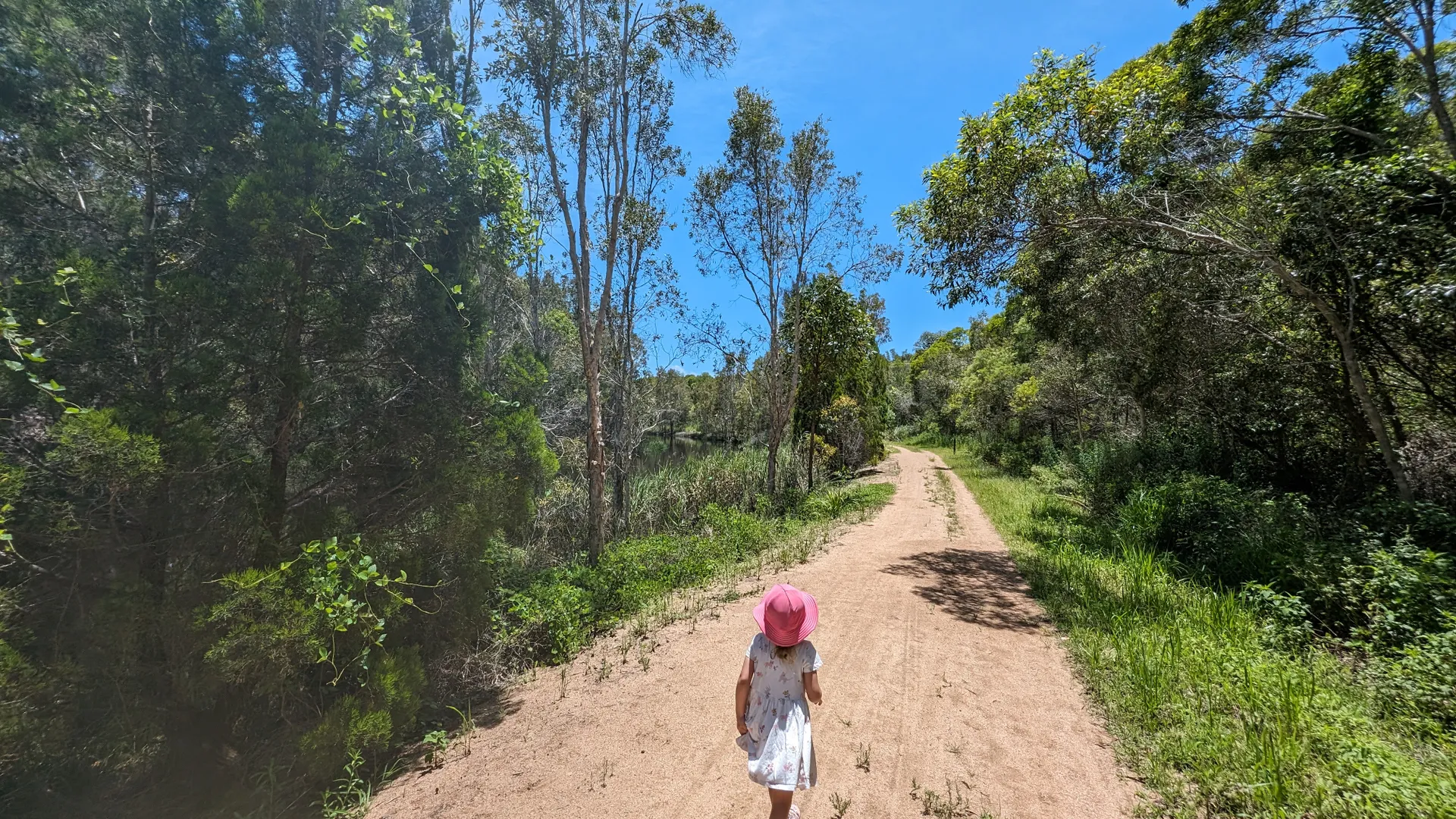 Lamerough Creekside Walk, Pelican Waters