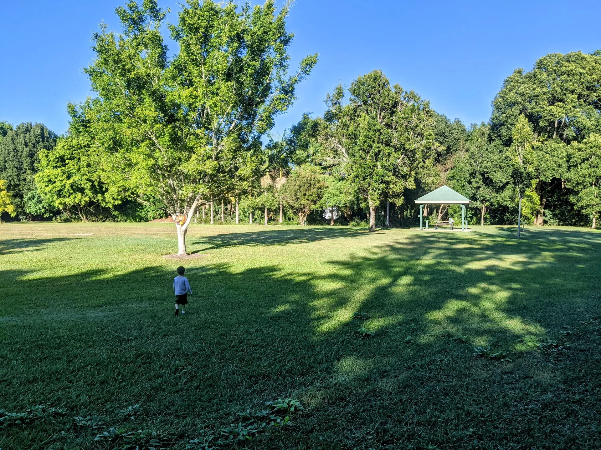 PXL_20210616_2234084772.jpg