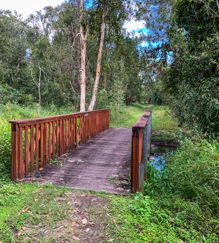 bridge