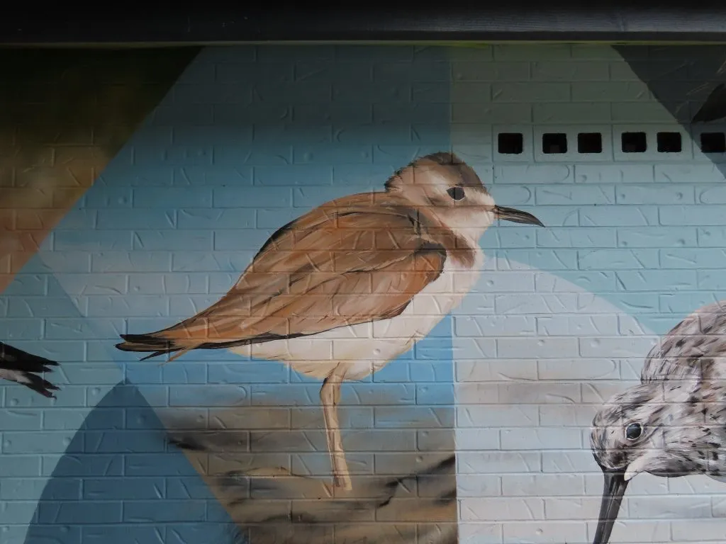 North Shore Mural Greater Sandplover