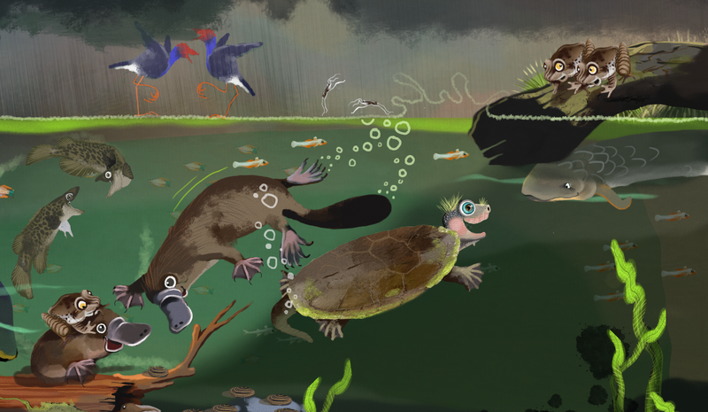 An illustration from Rocky and the River in Peril, showing animals in the Mary River celebrating while Rocky the turtle speaks to a lungfish.