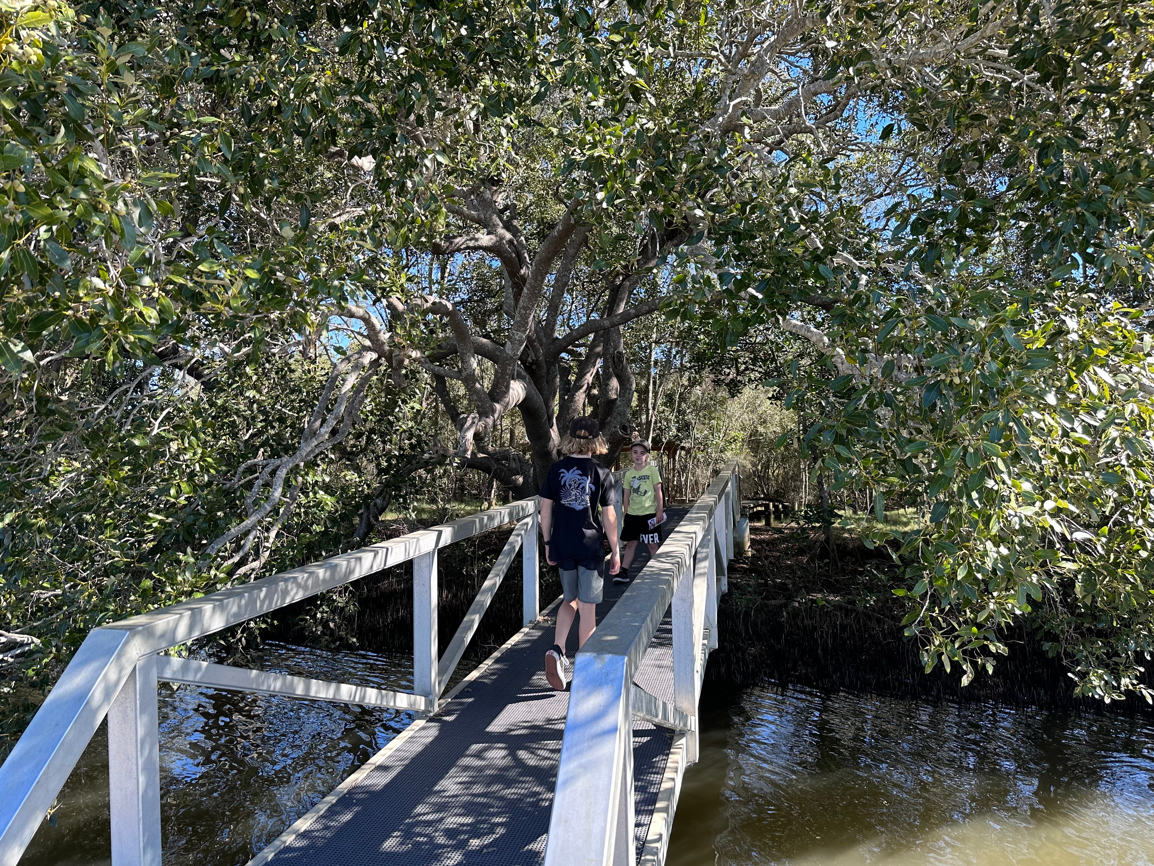 Maroochy%20Wetlands%20Sanctuary%20%2818%29.JPG