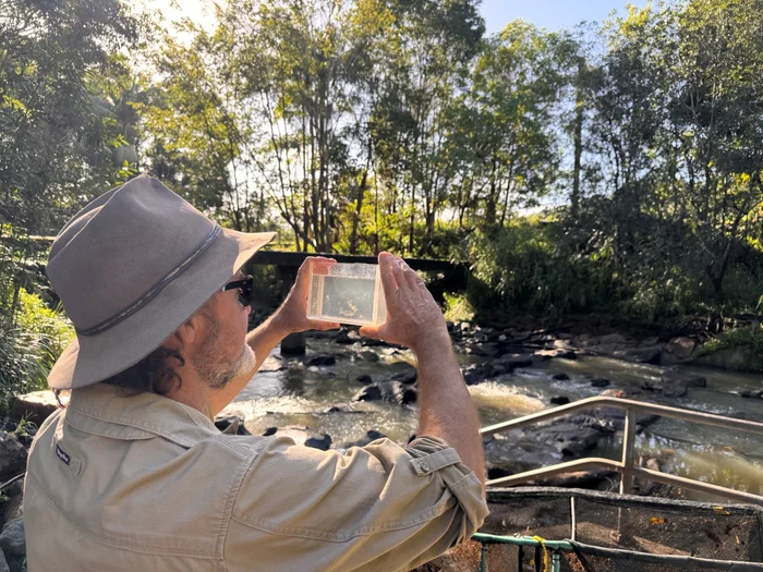 council worker holding a small tank with a jungle perch in front of the fish pathway