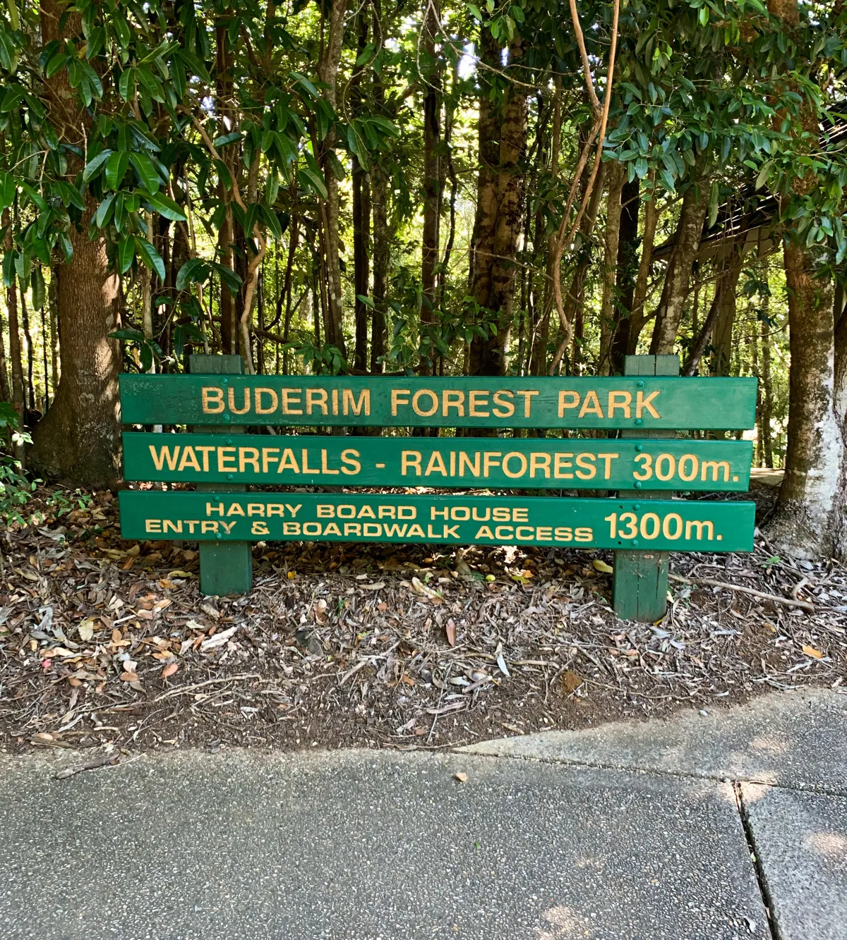 Buderim Forest Park - Falls Loop