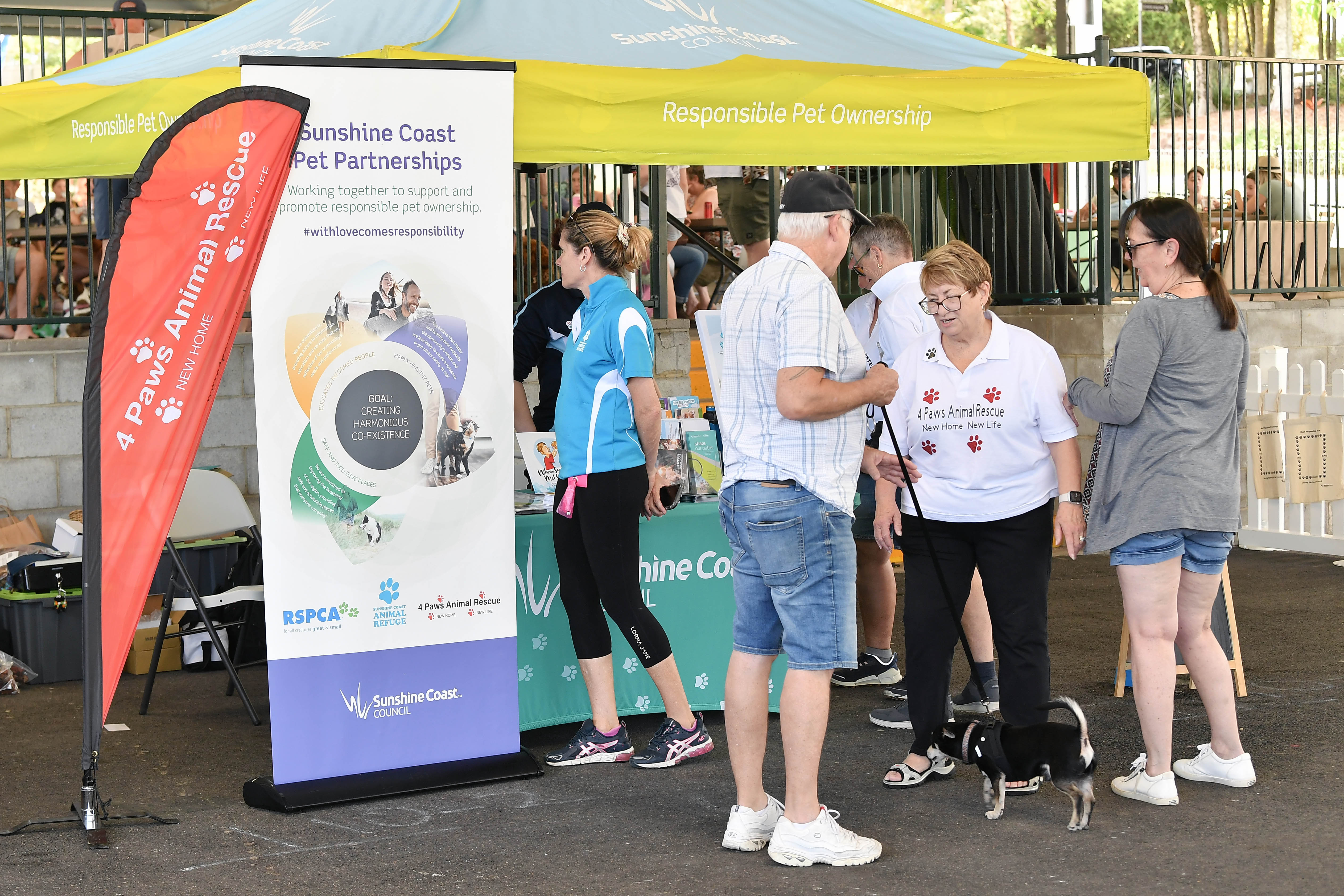 Learning about responsible pet ownership