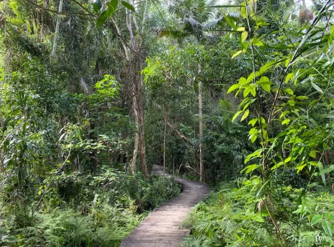 Yaroomba%20Bushland%20Park.jpg