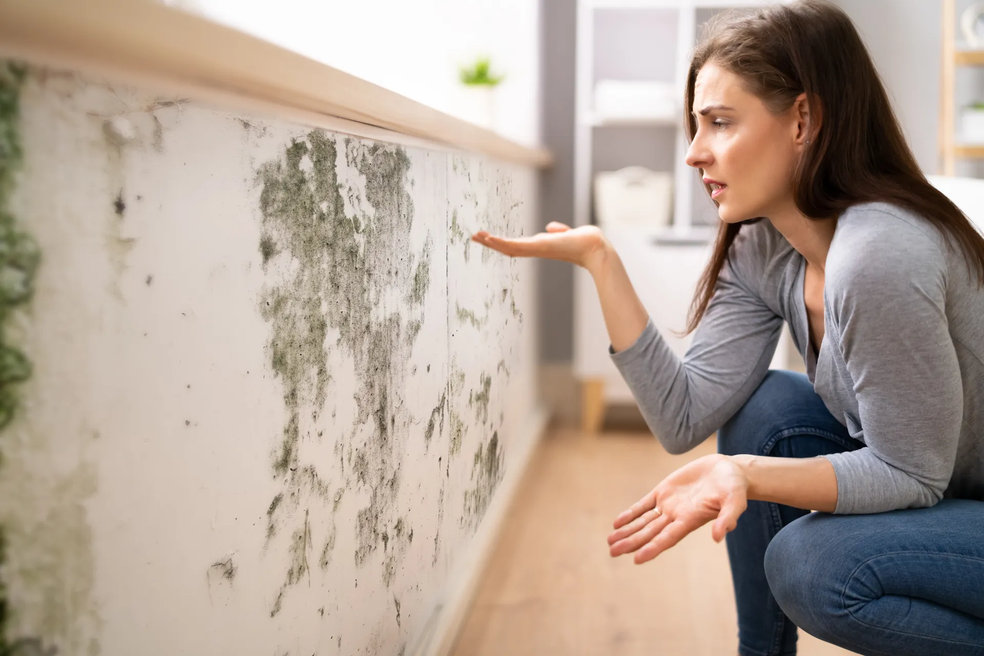 Lady inspecting mould in a wall