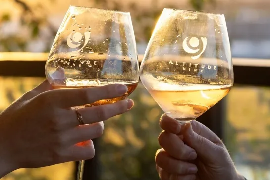 Hands holding two wine glasses together for a cheers