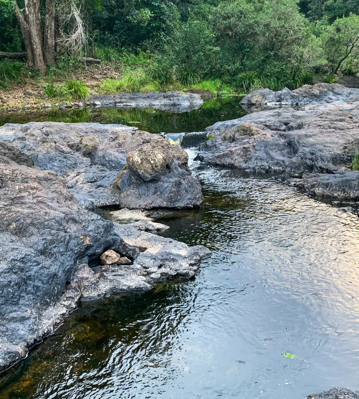 Wappa Dam and Falls