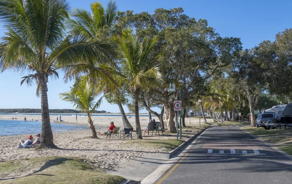 Image-1_Cotton-Tree-riverbank-1024x646.jpg