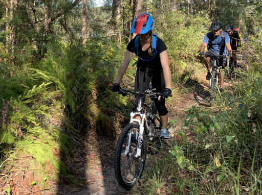 Mountain biking plan your next Sunshine Coast mountain bike ride