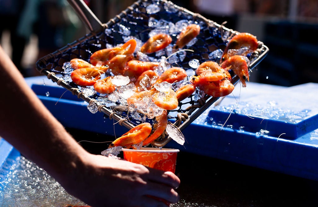 Fresh prawns and ice being tipped into a cup 