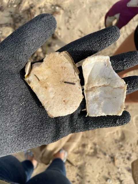 Styrofoam-on-beach-looking-like-pumicestone-1-rotated.jpeg