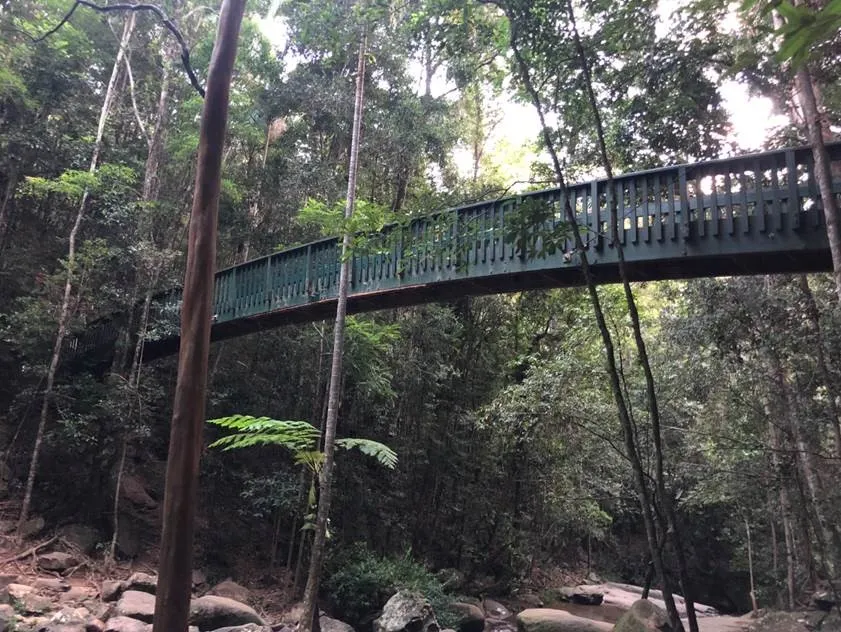 Completed%20bridge.jpg