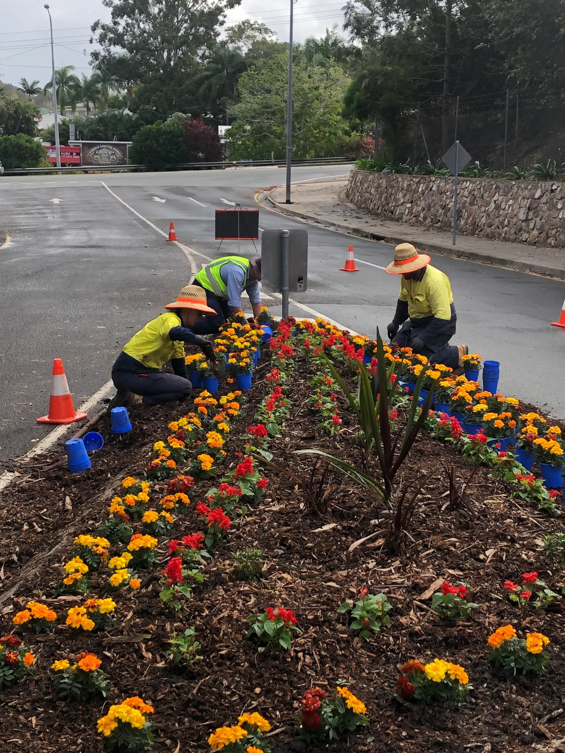 Parks team planting garden bed near road