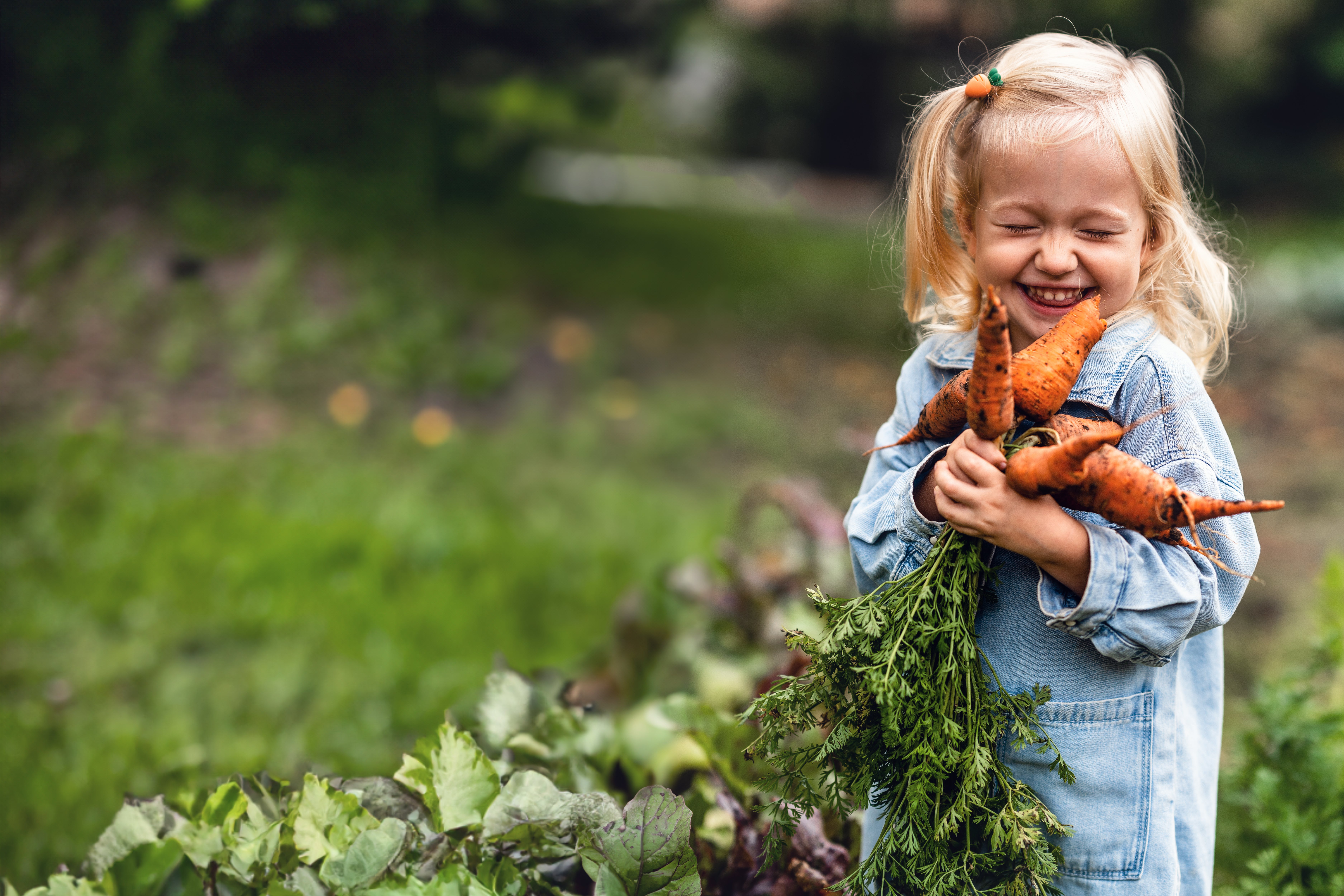A young girl holding freshly pulled carrots with dirt on them