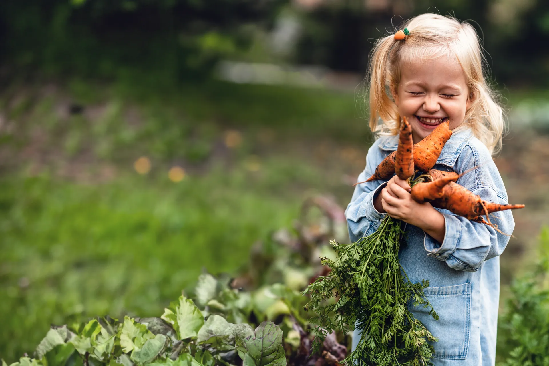 A young girl holding freshly pulled carrots with dirt on them