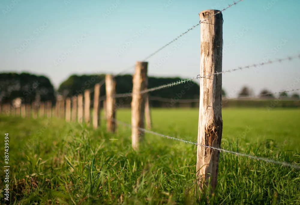 Fencing