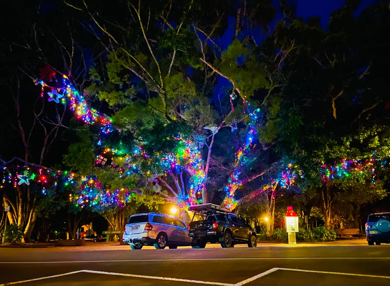 Eumundi Christmas Tree.