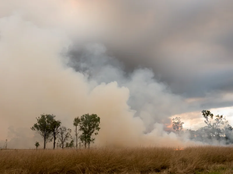 Smoke fills the sky above a grass fire in the bush.