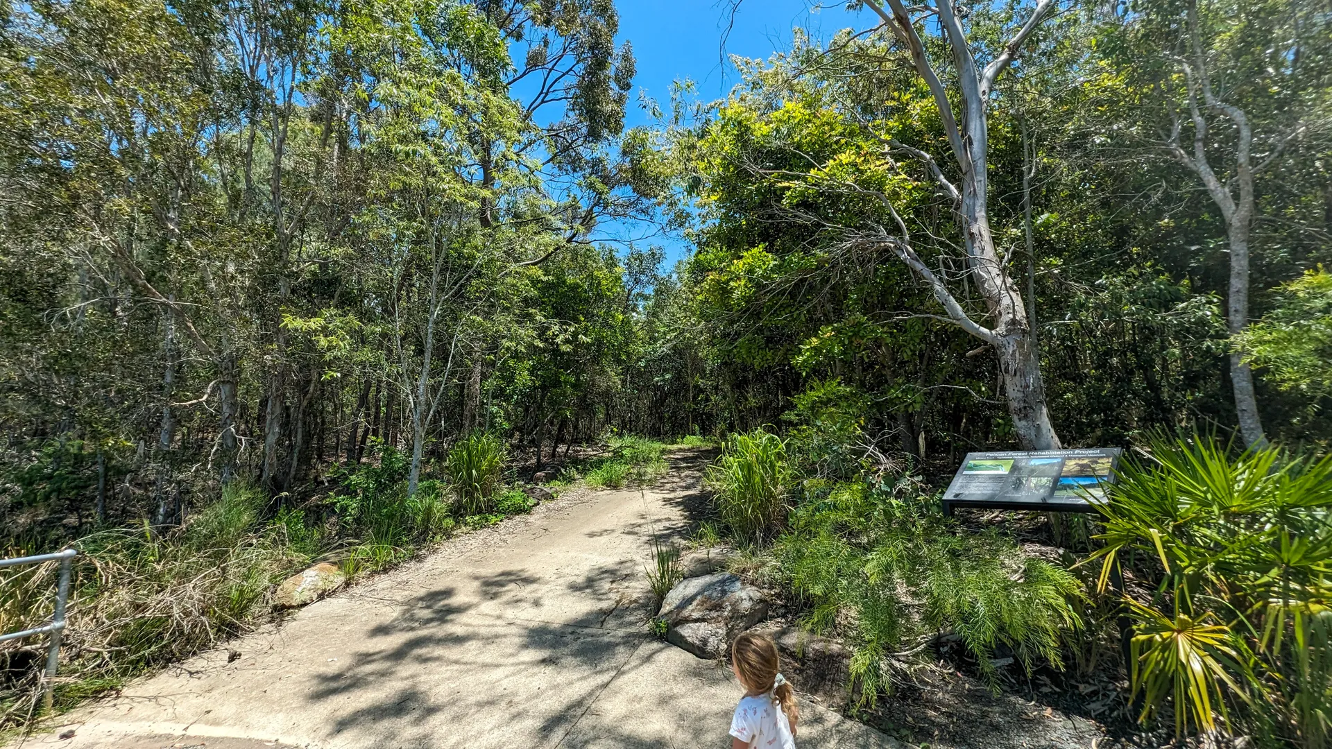 Lamerough Creekside Walk, Pelican Waters