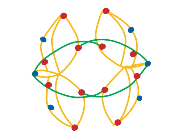 Bonyhi Bonyhi Seeds Attached to Core