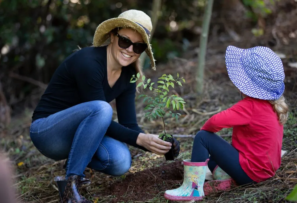 Tree-Planting-1024x702.jpg