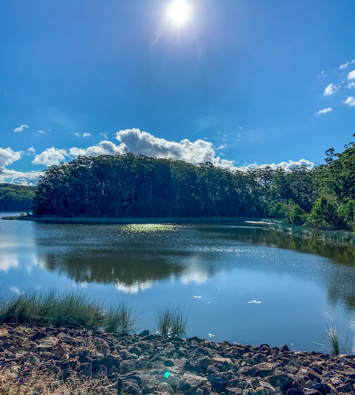 Cooloolabin Dam – Day-use short walk